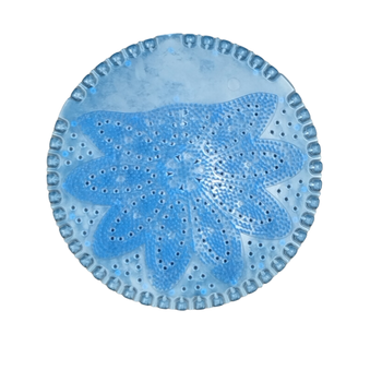 RULR-4061/1 Wkładka zapachowa do pisuaru TUTTI FRUTTI 1 szt. niebieski - 200301