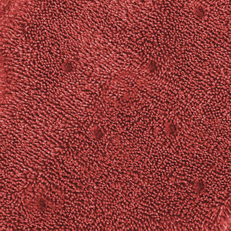 Filmop Duo Face Wash Basic / Dry Barrier – mop dwustronny: mycie i osuszanie