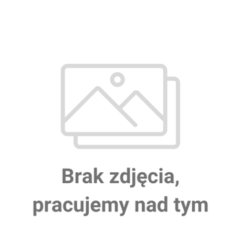 LUDWIK Płyn do mycia naczyń miętowy 900g